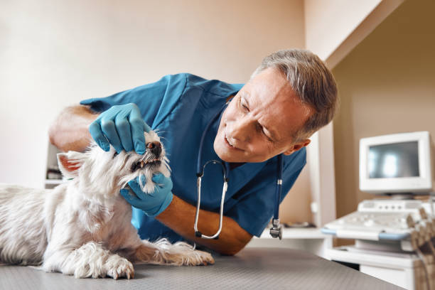 Best Emergency TMJ Treatment in Seneca, KS
